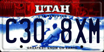 UT license plate C308XM