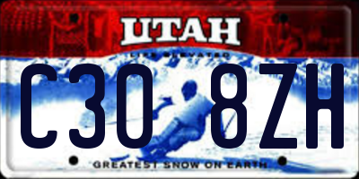 UT license plate C308ZH