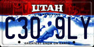 UT license plate C309LY