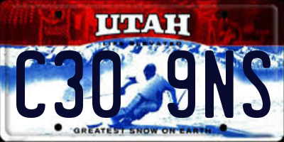 UT license plate C309NS