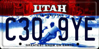 UT license plate C309YE