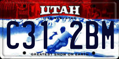 UT license plate C312BM
