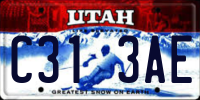 UT license plate C313AE