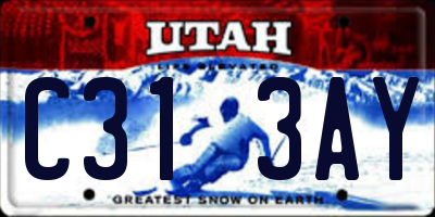 UT license plate C313AY