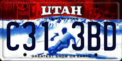 UT license plate C313BD