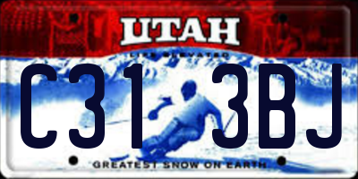 UT license plate C313BJ