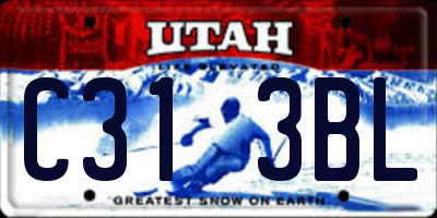 UT license plate C313BL