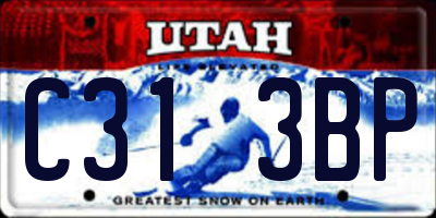 UT license plate C313BP