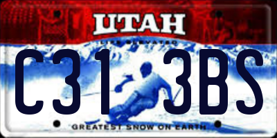 UT license plate C313BS