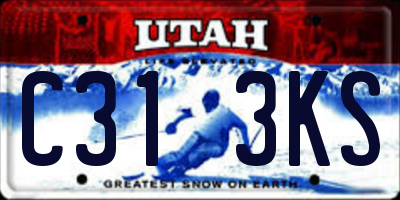 UT license plate C313KS