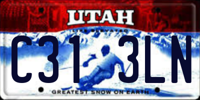 UT license plate C313LN