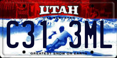 UT license plate C313ML
