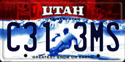 UT license plate C313MS