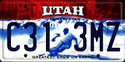 UT license plate C313MZ