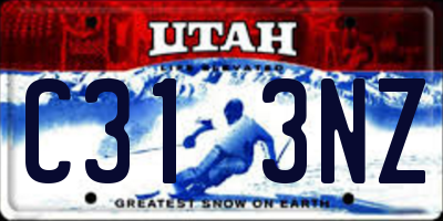 UT license plate C313NZ