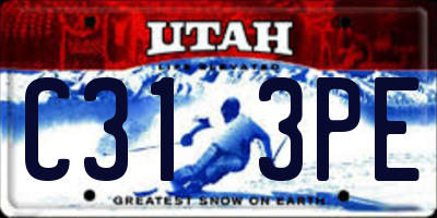 UT license plate C313PE