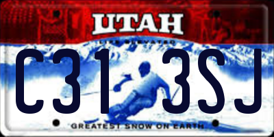 UT license plate C313SJ