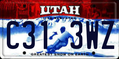 UT license plate C313WZ