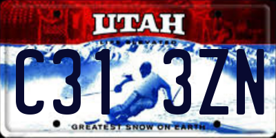 UT license plate C313ZN