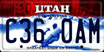 UT license plate C360AM