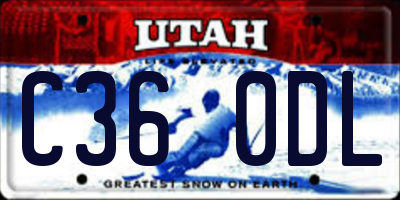 UT license plate C360DL