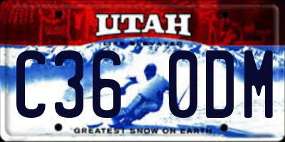 UT license plate C360DM