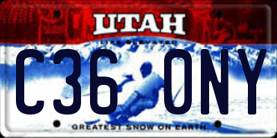 UT license plate C360NY
