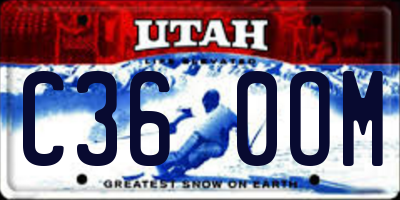 UT license plate C360OM