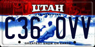 UT license plate C360VV