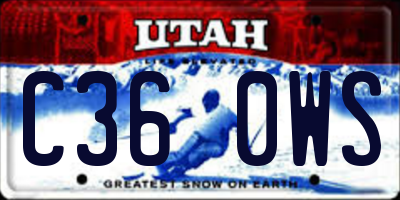 UT license plate C360WS