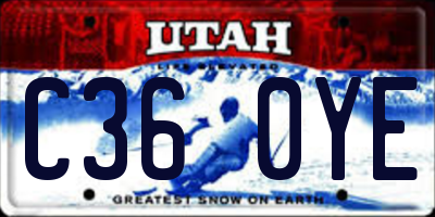 UT license plate C360YE