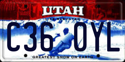UT license plate C360YL