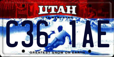 UT license plate C361AE