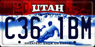UT license plate C361BM