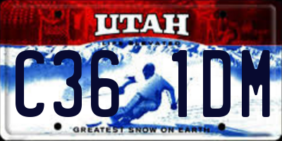 UT license plate C361DM