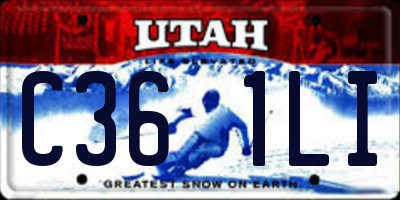 UT license plate C361LI