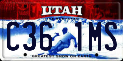 UT license plate C361MS