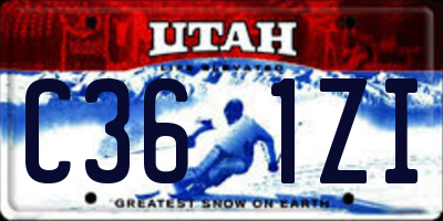 UT license plate C361ZI