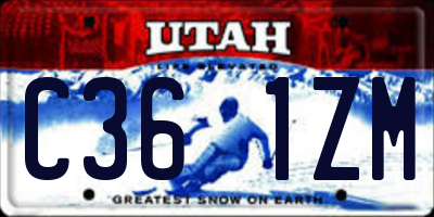 UT license plate C361ZM