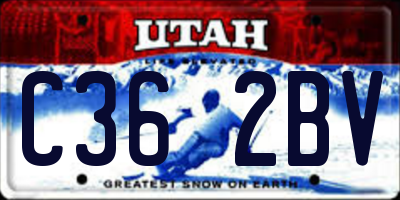 UT license plate C362BV