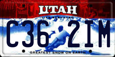 UT license plate C362IM