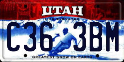 UT license plate C363BM