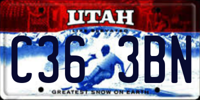 UT license plate C363BN