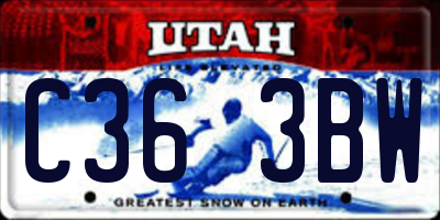 UT license plate C363BW