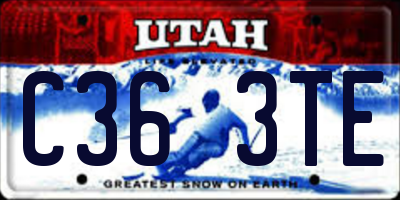 UT license plate C363TE