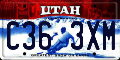 UT license plate C363XM