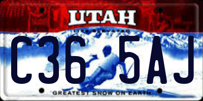UT license plate C365AJ