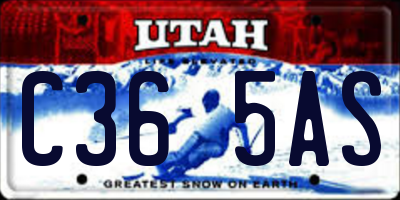 UT license plate C365AS