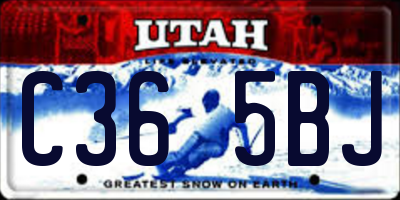 UT license plate C365BJ