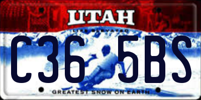 UT license plate C365BS